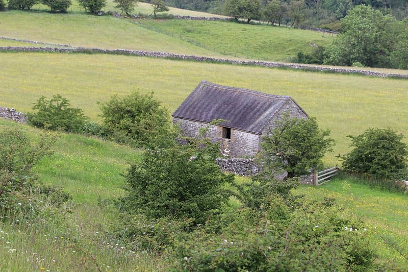 Farm landscape with stone walls