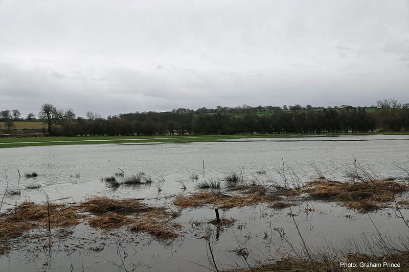 Floodplain meadow restoration in Mayfield by White Peak Farmers