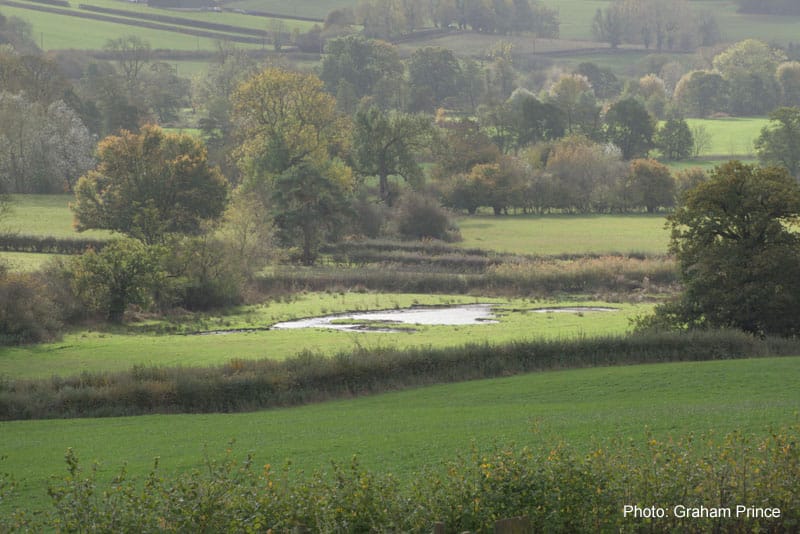 Floodplain meadow restoration in Mayfield, Staffordshire